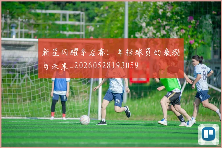 新星闪耀季后赛:年轻球员的表现与未来_20260528193059